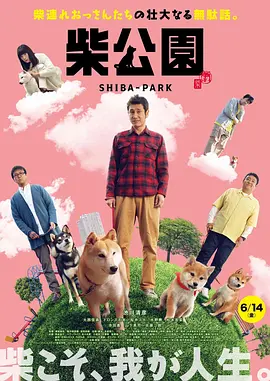 a级淫片
