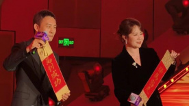 国内精品免费一区二区三区
